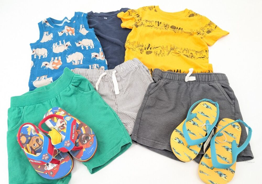 Boys Toddler Summer Bundle Tees Shorts Sandals Tank Animals Solids Size 4T